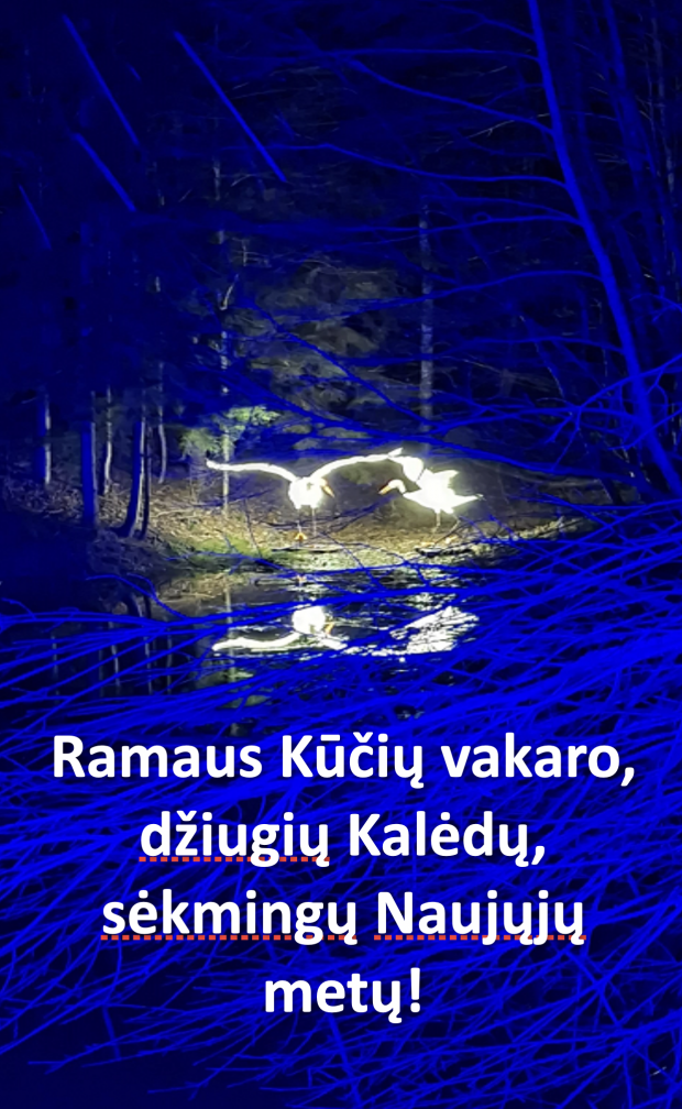 2025_Kaledinis_sveikinimas