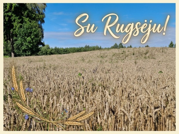 Su_Rugseju_2026